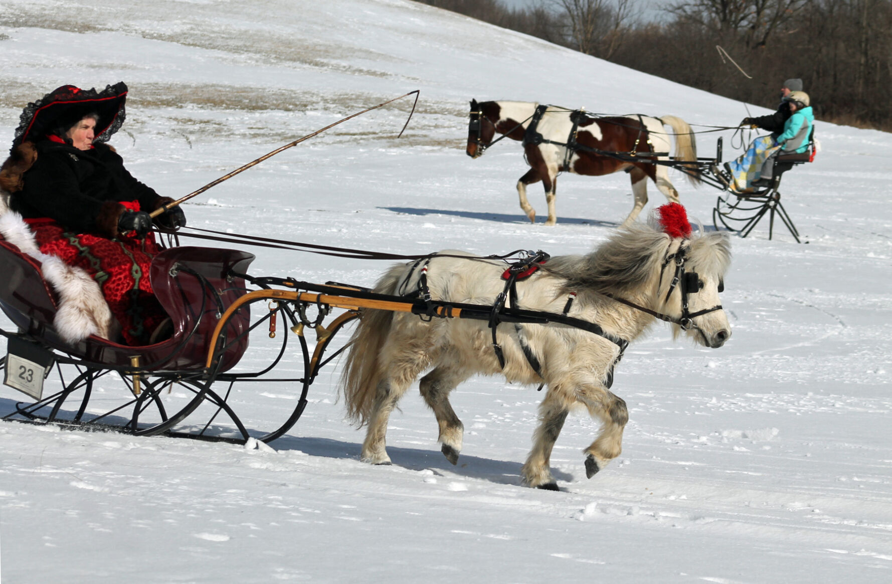 Dashing through the snow